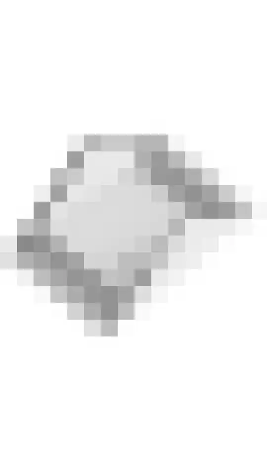 Tureluur 55 Maurik thumbnail 64
