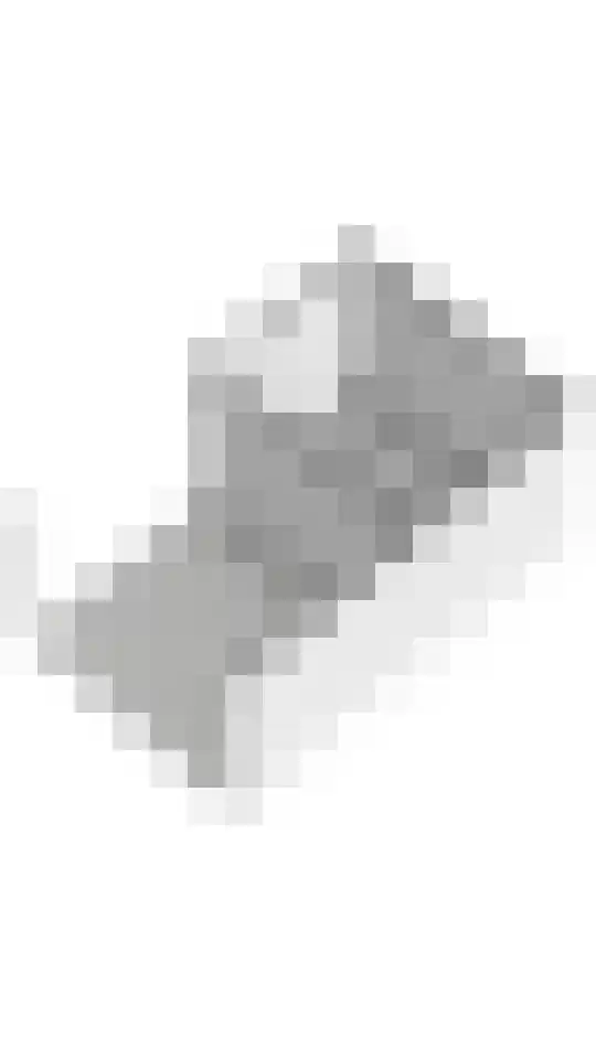 Tureluur 55 Maurik thumbnail 66