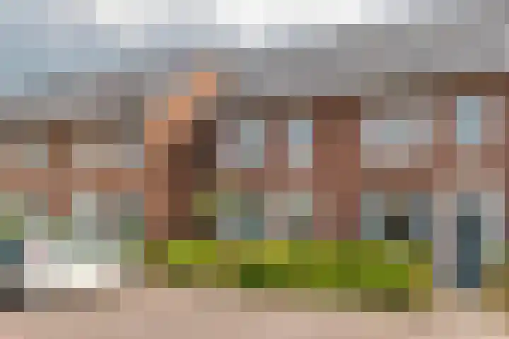 Tureluur 55 Maurik thumbnail 67