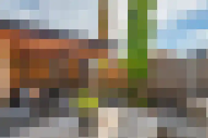 Tureluur 57 Maurik thumbnail 17