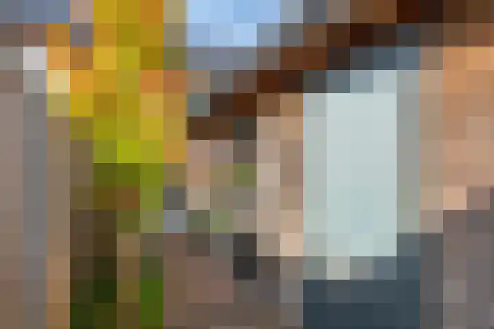 Tureluur 57 Maurik thumbnail 20