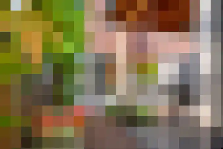 Tureluur 57 Maurik thumbnail 21