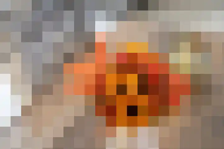 Tureluur 57 Maurik thumbnail 28