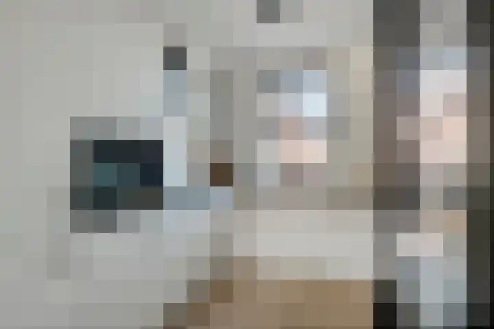 Tureluur 57 Maurik thumbnail 30