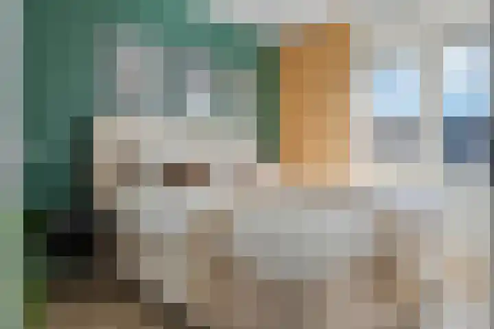 Tureluur 57 Maurik thumbnail 37