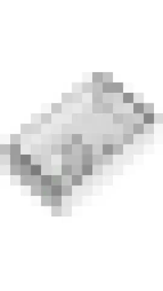 Tureluur 57 Maurik thumbnail 53