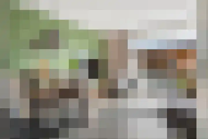 Tureluur 57 Maurik thumbnail 8