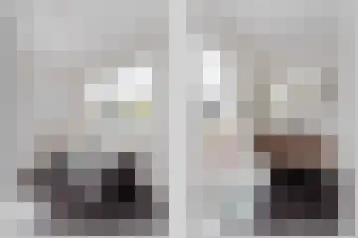 Tureluur 6 Tubbergen thumbnail 13