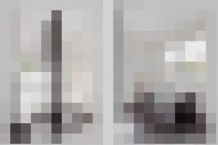 Tureluur 6 Tubbergen thumbnail 14
