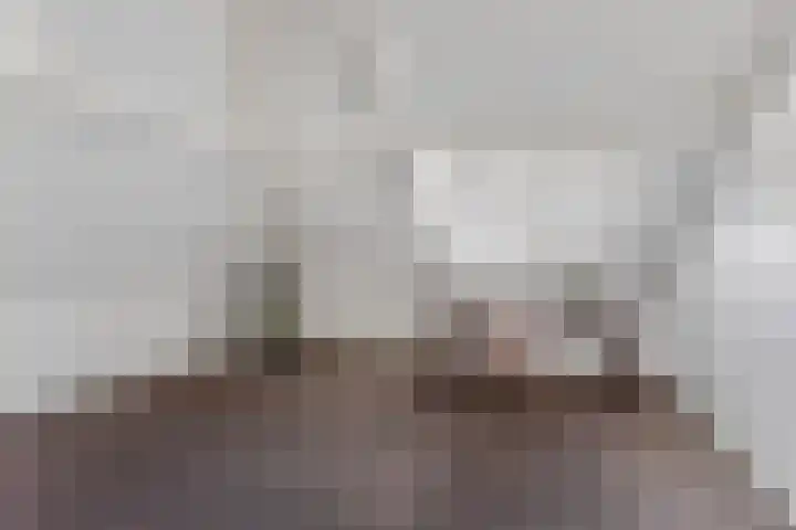 Tureluur 6 Tubbergen thumbnail 19