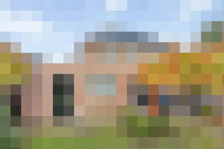 Tureluur 6 Tubbergen thumbnail 20
