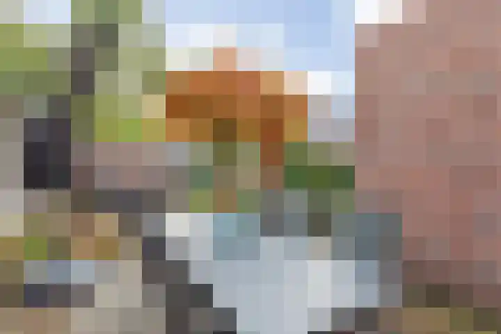 Tureluur 6 Tubbergen thumbnail 21