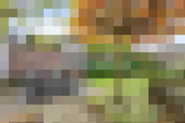 Tureluur 6 Tubbergen thumbnail 22