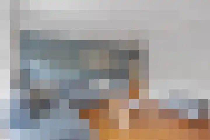Tureluur 6 Tubbergen thumbnail 8