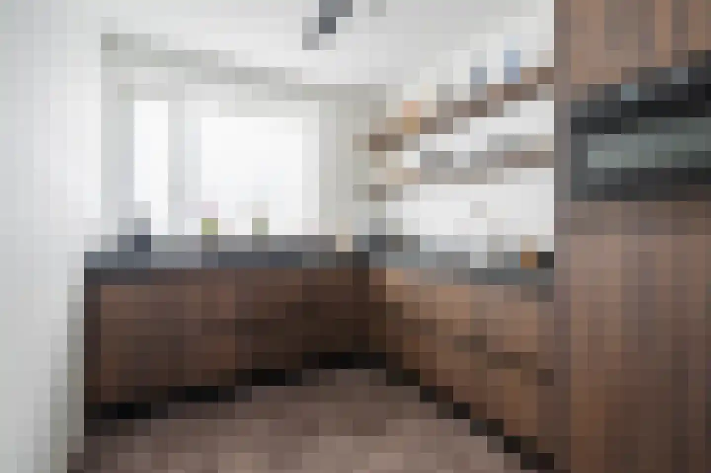 Tureluur 66 Venray thumbnail 14