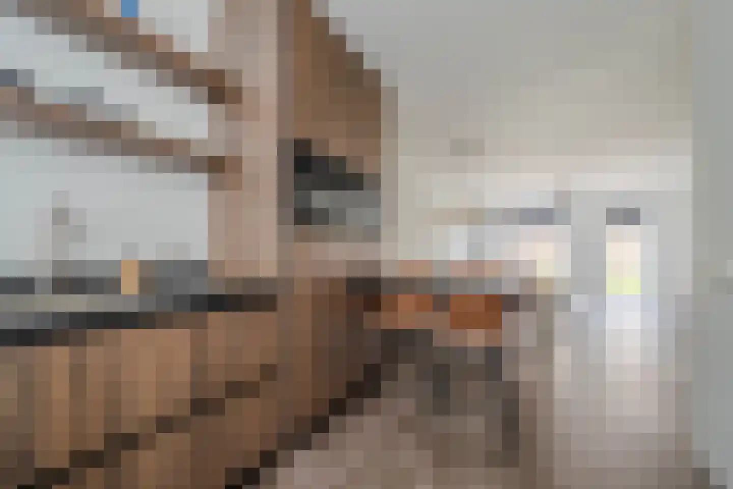 Tureluur 66 Venray thumbnail 16