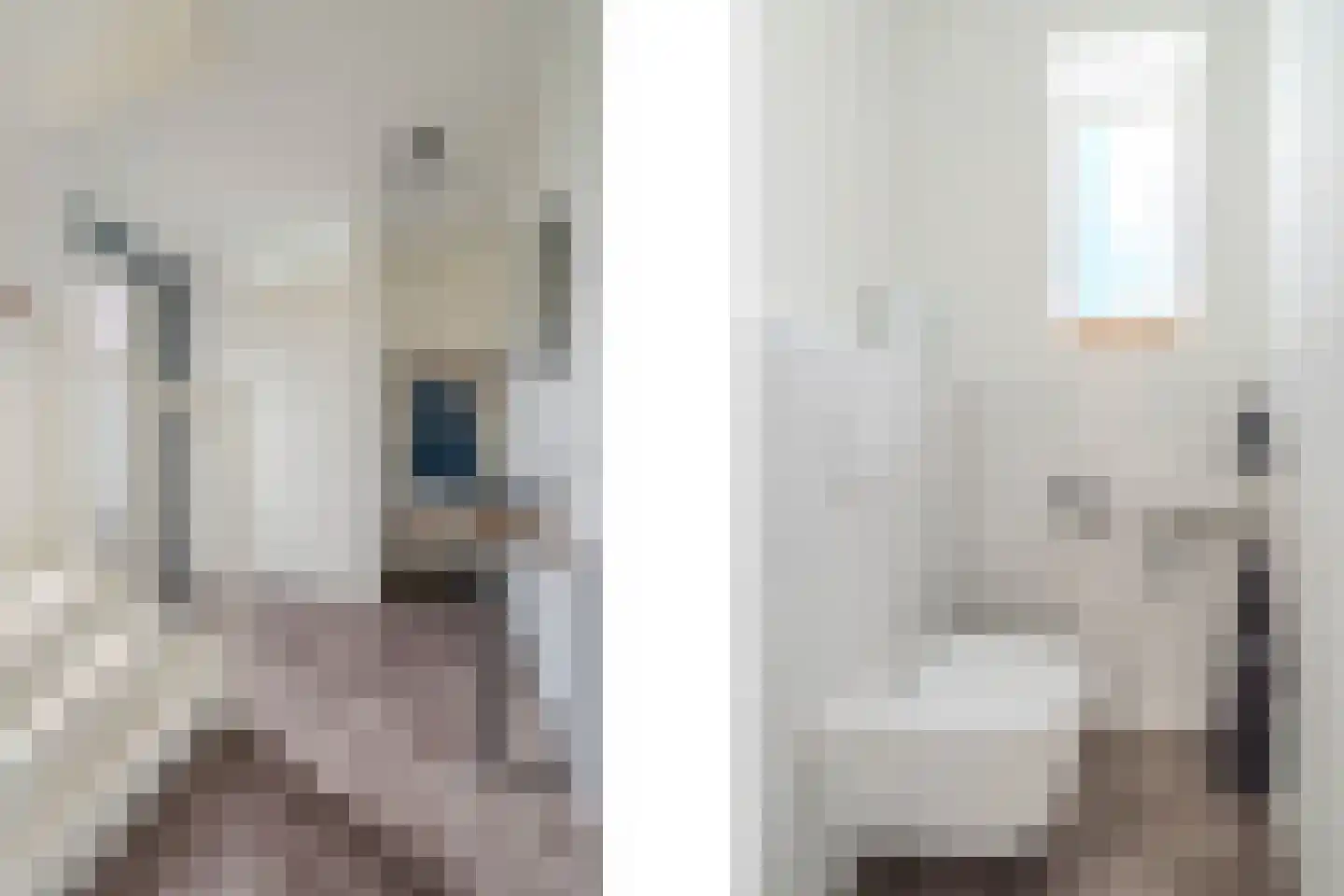Tureluur 66 Venray thumbnail 17