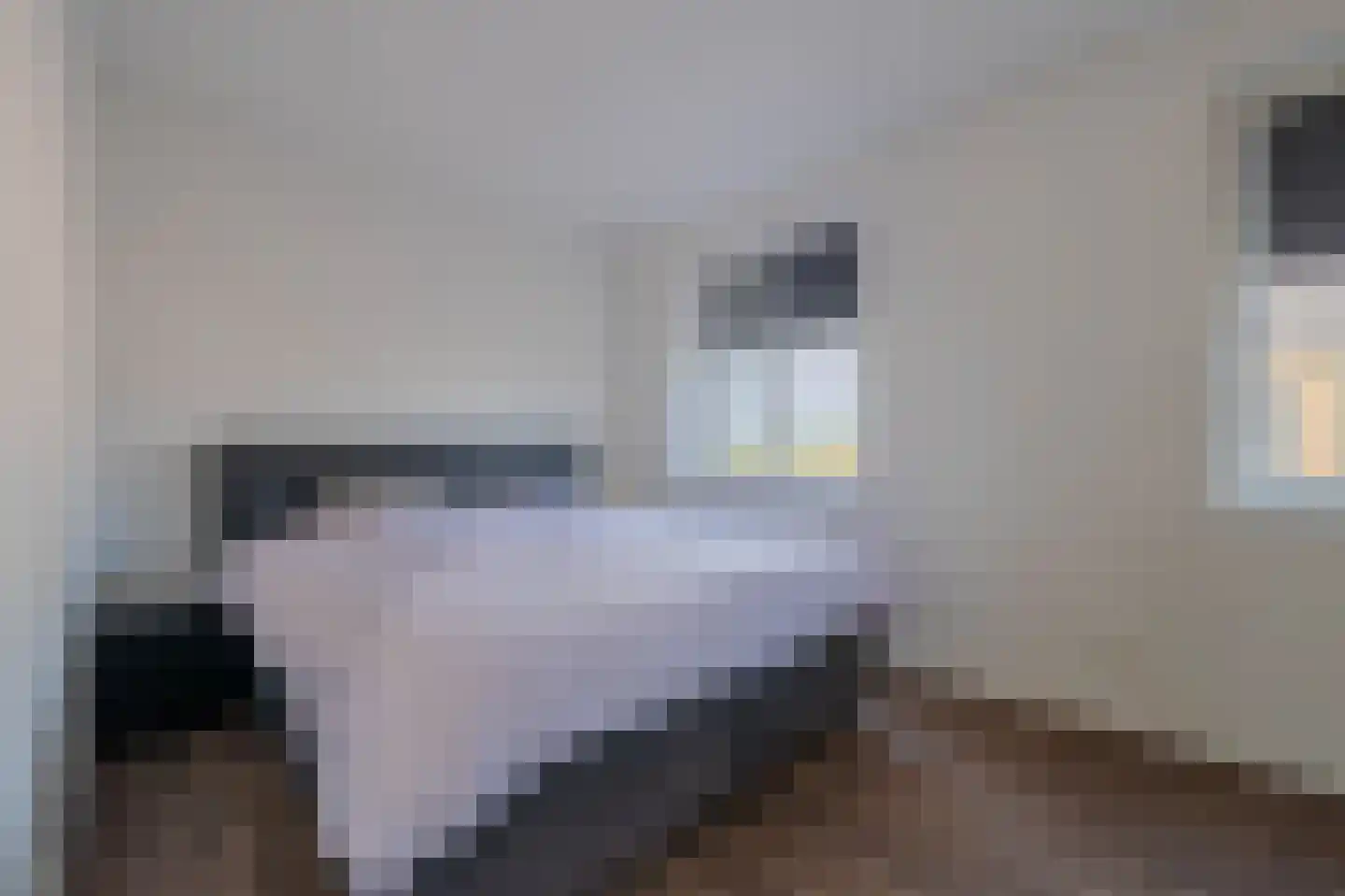 Tureluur 66 Venray thumbnail 19