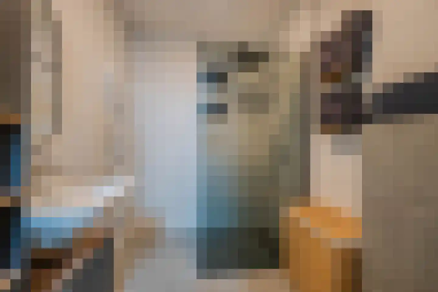 Tureluur 66 Venray thumbnail 22