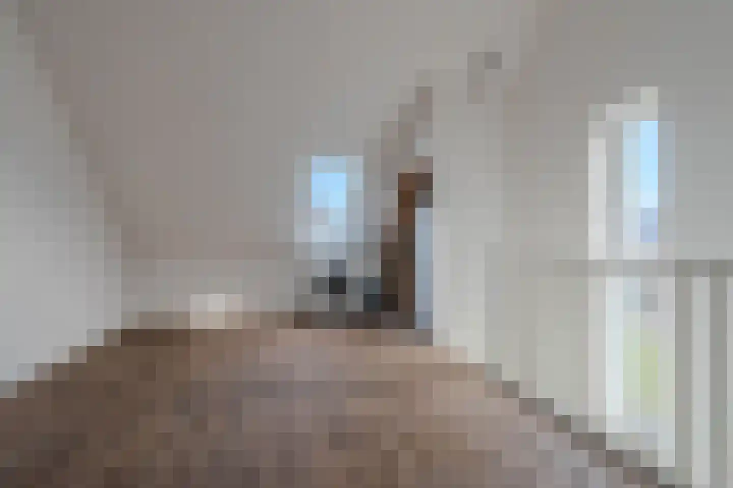 Tureluur 66 Venray thumbnail 25