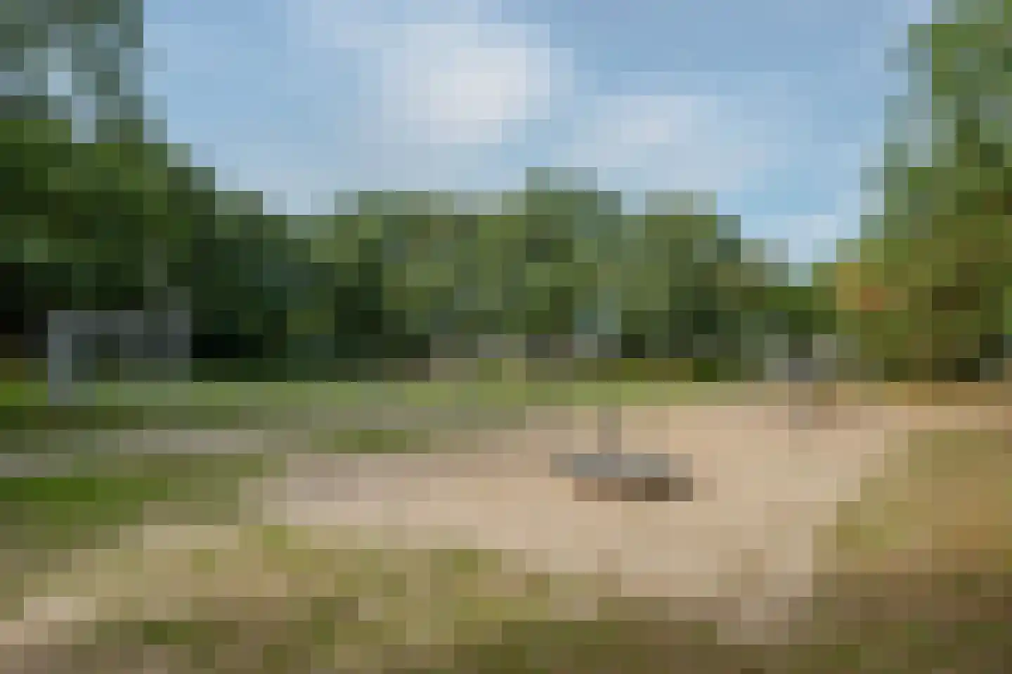 Tureluur 66 Venray thumbnail 45