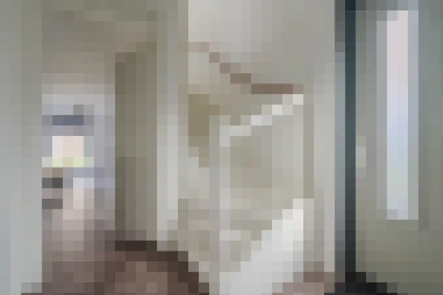 Tureluur 66 Venray thumbnail 7