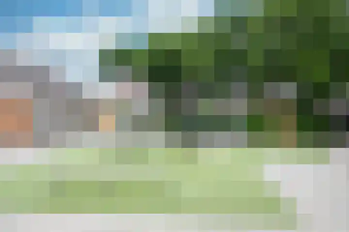 Tureluur 74 Genemuiden thumbnail 10
