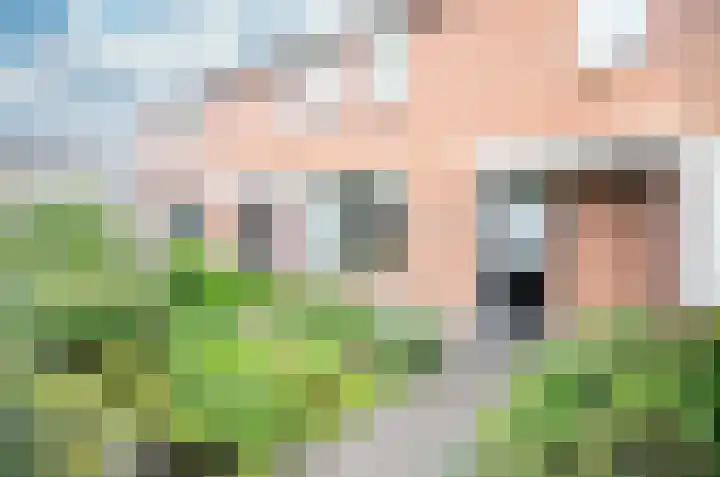 Tureluur 74 Genemuiden thumbnail 11