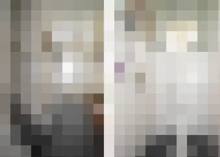 Tureluur 74 Genemuiden thumbnail 12