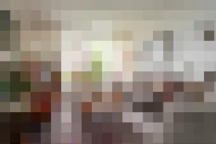Tureluur 74 Genemuiden thumbnail 13