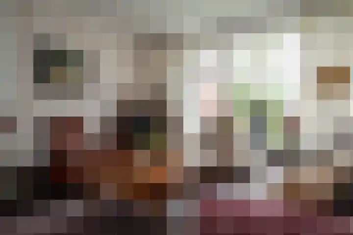 Tureluur 74 Genemuiden thumbnail 14