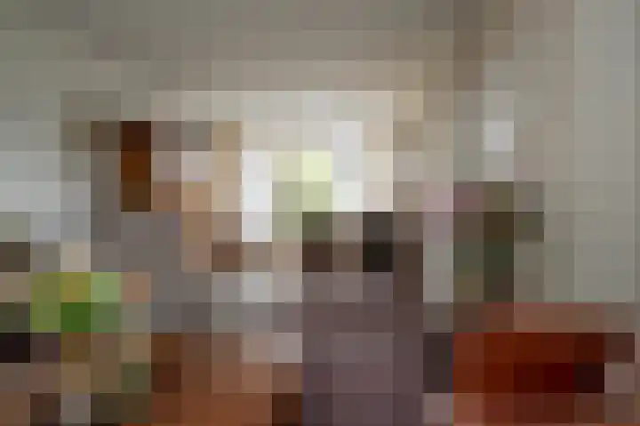 Tureluur 74 Genemuiden thumbnail 15