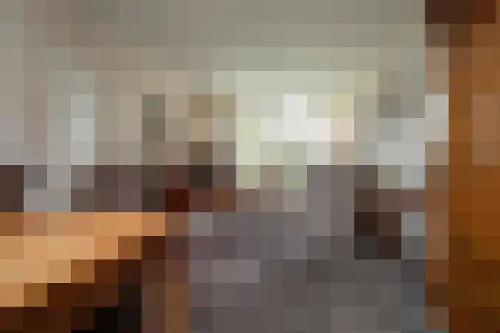 Tureluur 74 Genemuiden thumbnail 17