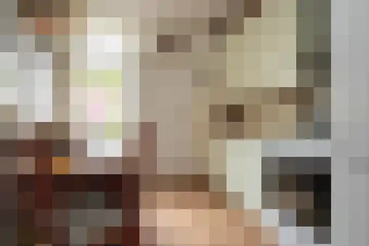 Tureluur 74 Genemuiden thumbnail 18