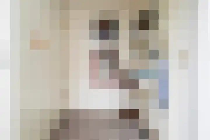 Tureluur 74 Genemuiden thumbnail 20