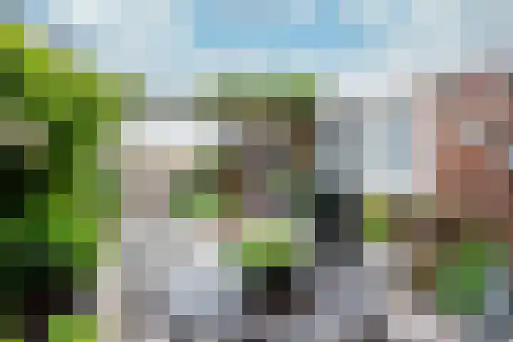 Tureluur 74 Genemuiden thumbnail 21