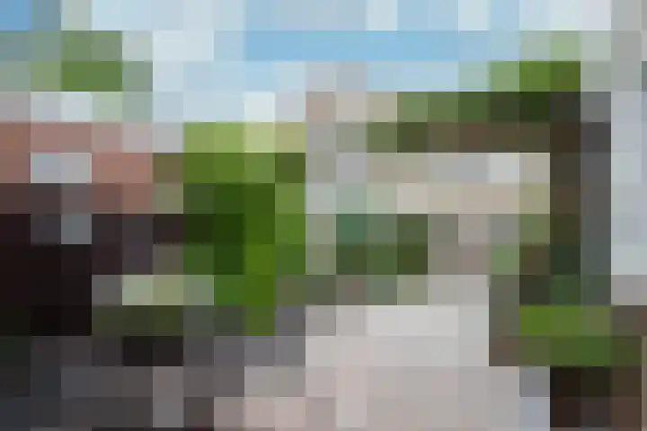 Tureluur 74 Genemuiden thumbnail 22