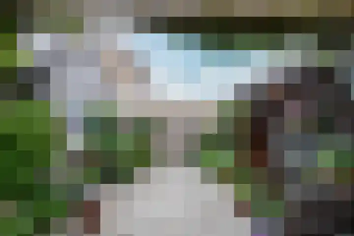 Tureluur 74 Genemuiden thumbnail 23