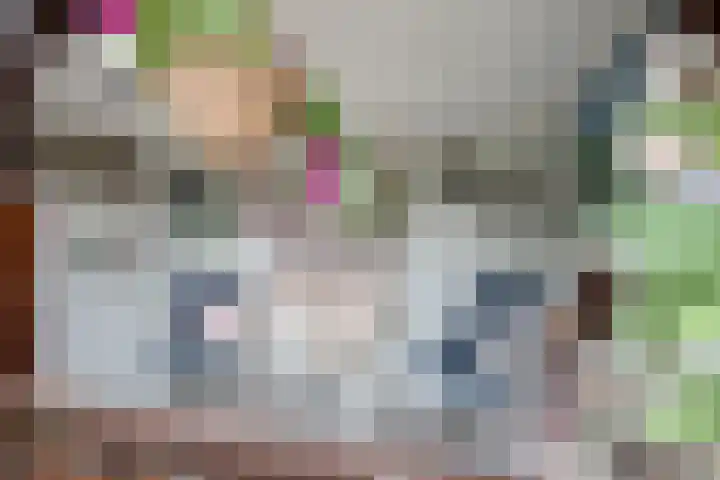 Tureluur 74 Genemuiden thumbnail 24