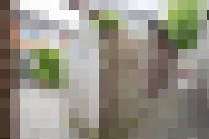 Tureluur 74 Genemuiden thumbnail 26