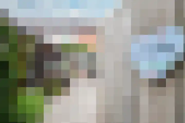 Tureluur 74 Genemuiden thumbnail 28