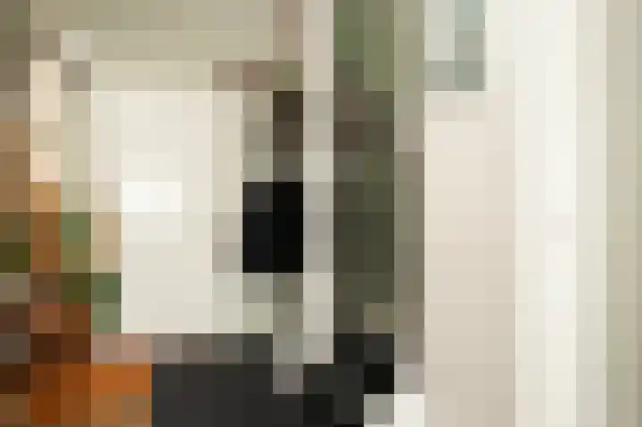 Tureluur 74 Genemuiden thumbnail 30