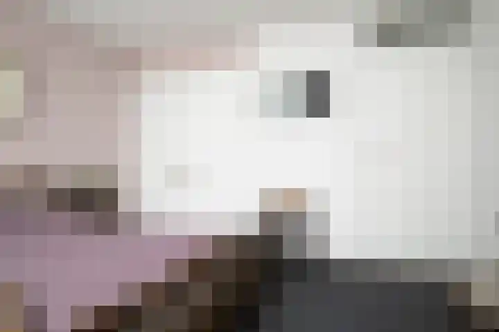 Tureluur 74 Genemuiden thumbnail 35