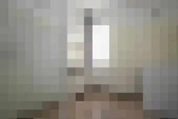Tureluur 74 Genemuiden thumbnail 36