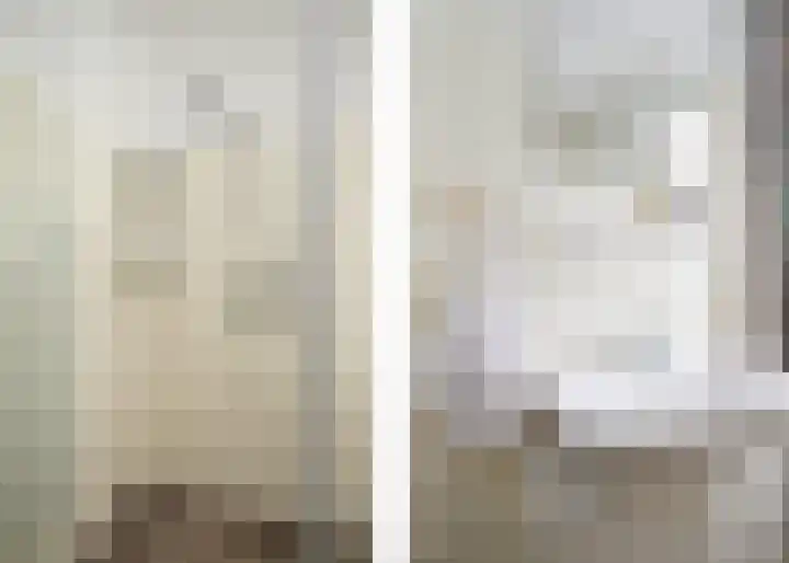 Tureluur 74 Genemuiden thumbnail 37