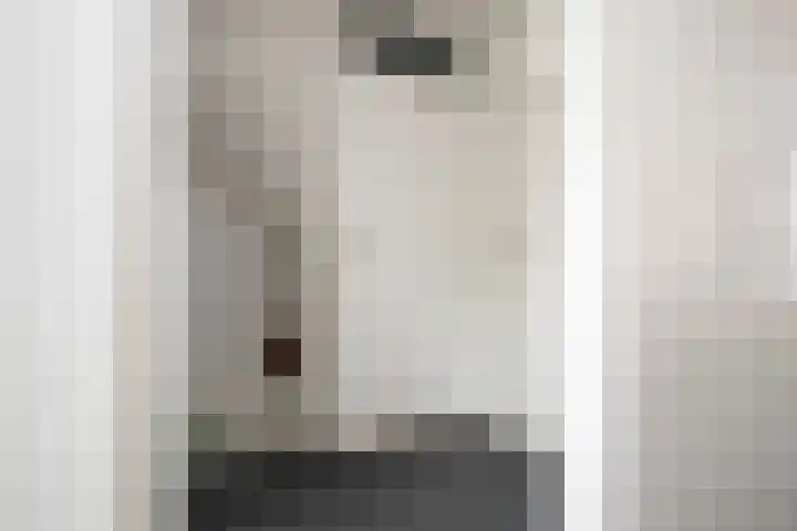 Tureluur 74 Genemuiden thumbnail 38