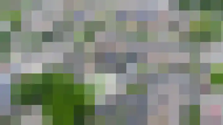 Tureluur 74 Genemuiden thumbnail 4