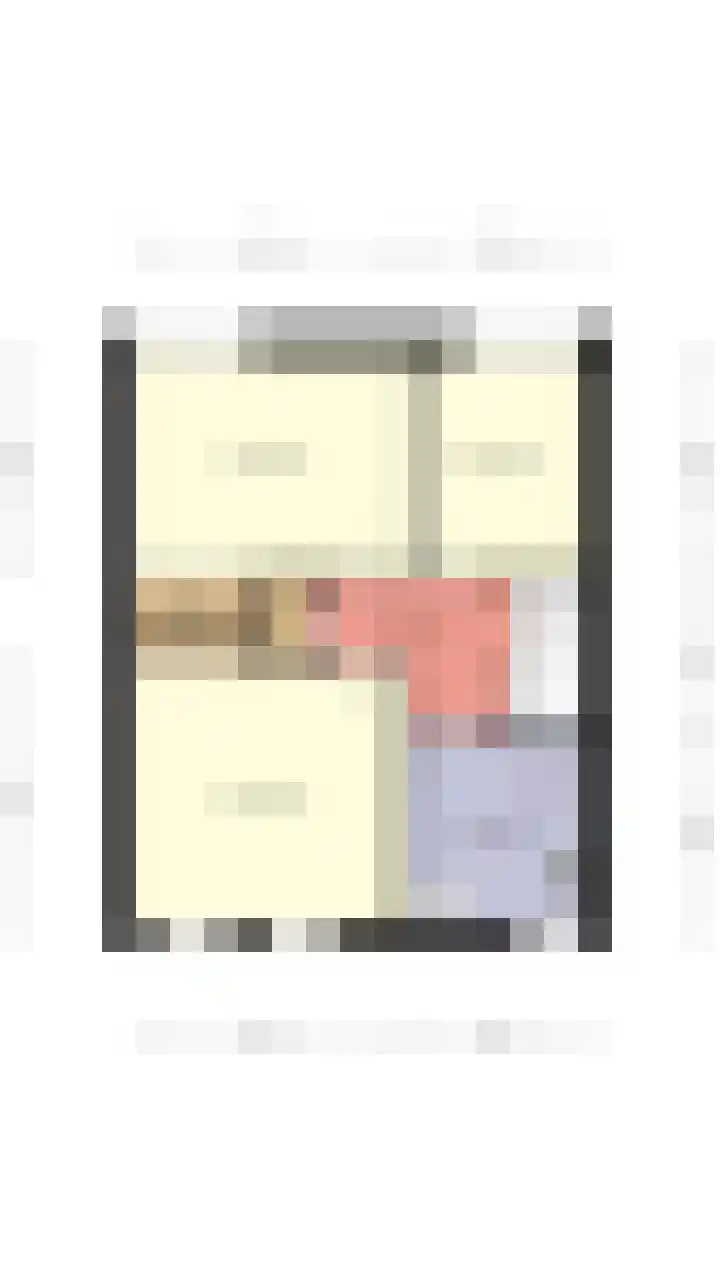 Tureluur 74 Genemuiden thumbnail 42