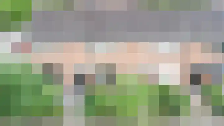 Tureluur 74 Genemuiden thumbnail 5