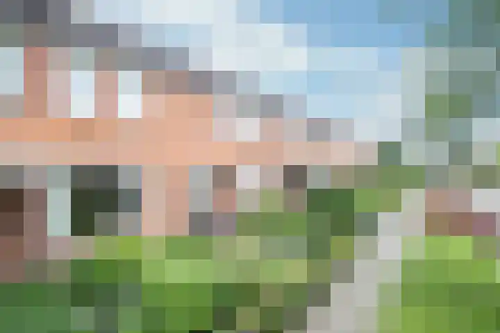 Tureluur 74 Genemuiden thumbnail 6